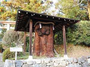 おだまき杉