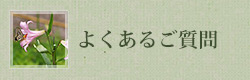 よくあるご質問